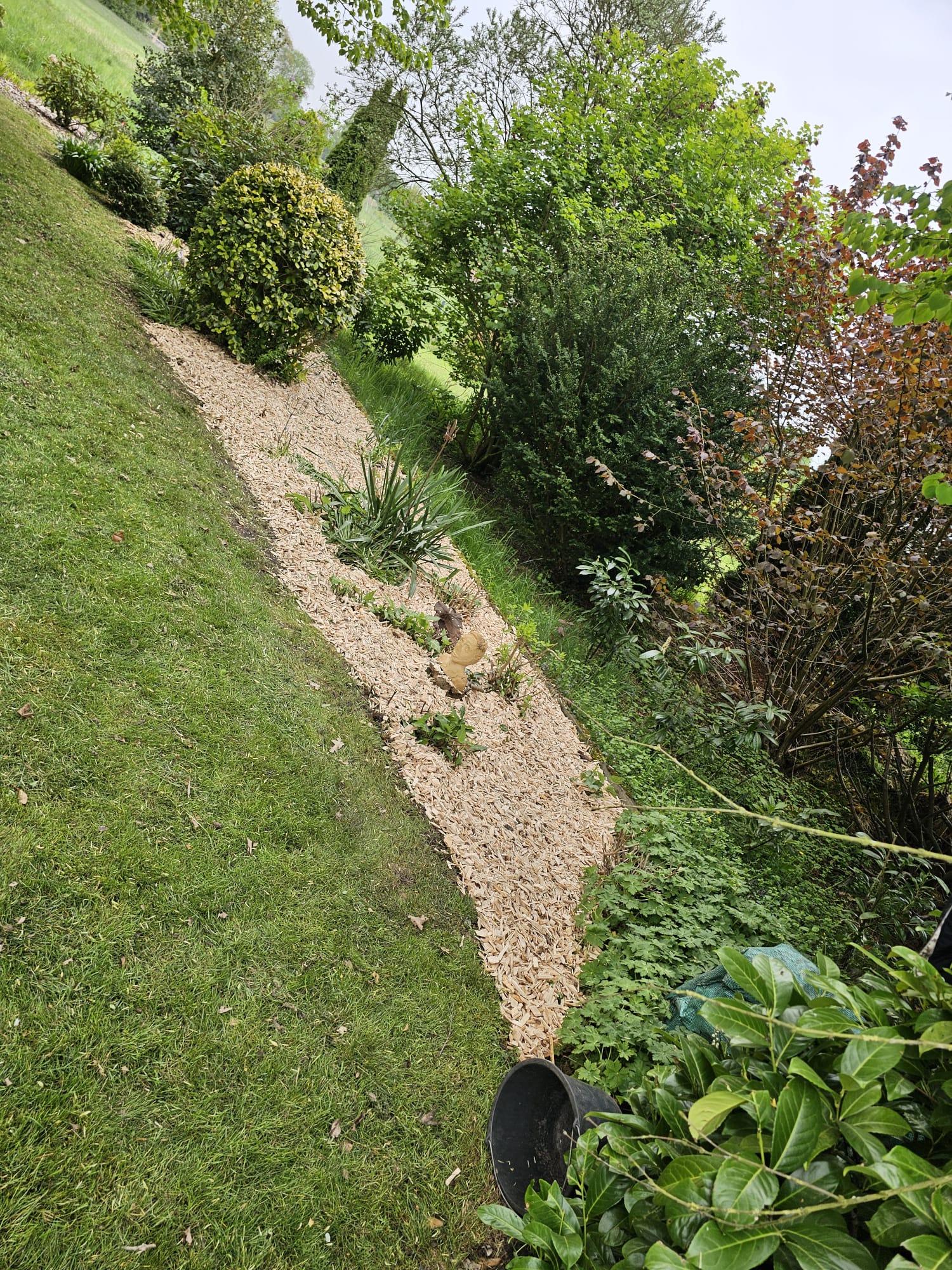 Beetgestaltung mit Kiesweg und Zierpflanzen