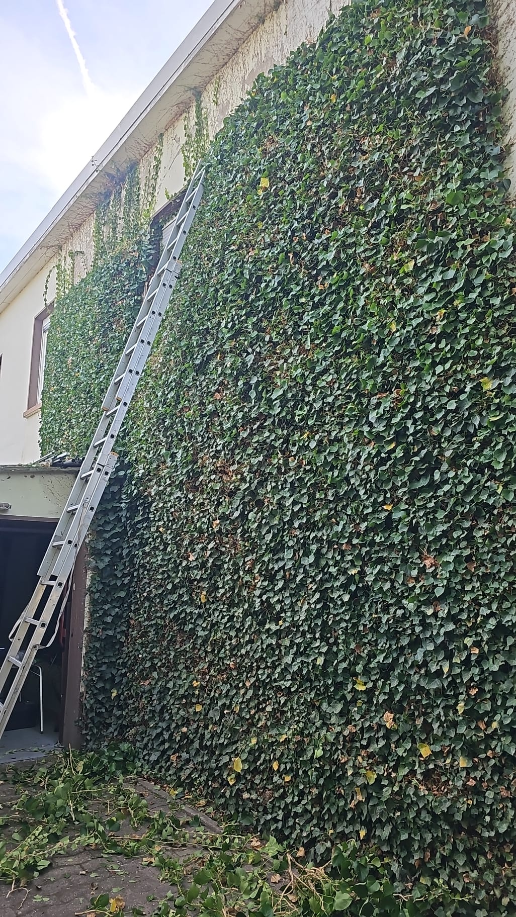 Gartengestaltung Projekt in Diepenau