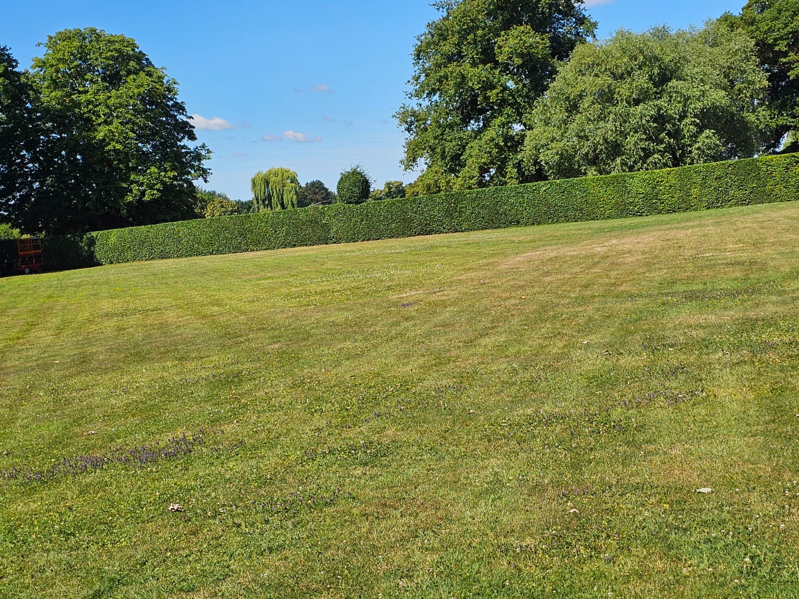 Gartenpflege und Rasenpflege