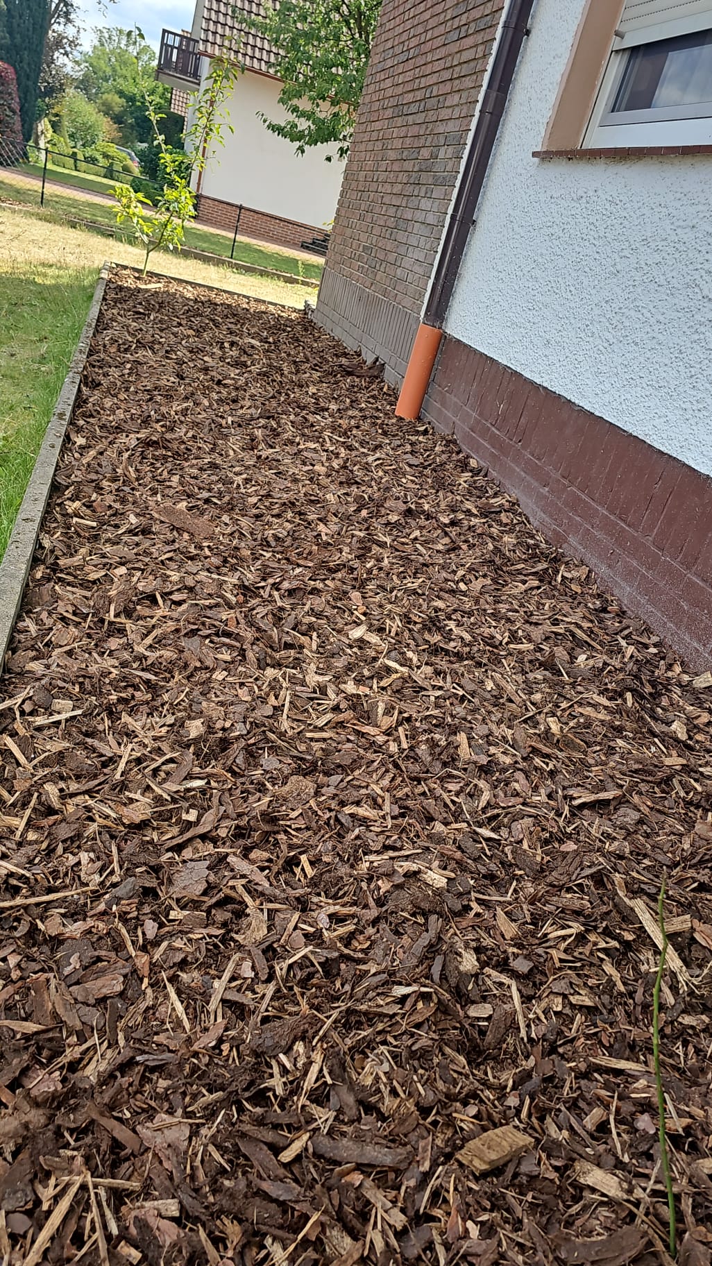 Rindenmulch-Beet am Haus