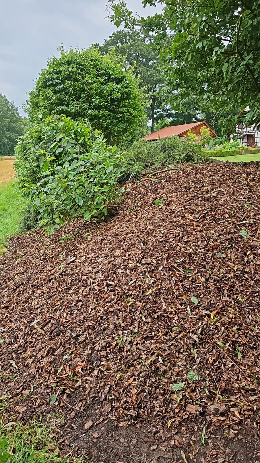 Terrasse Pflasterarbeiten in Diepenau